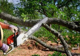  Atlanta, IL Tree Removal and Landscaping Services Pros